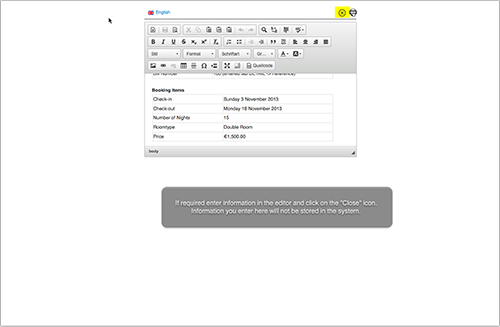 Editor for custom text on a single invoice